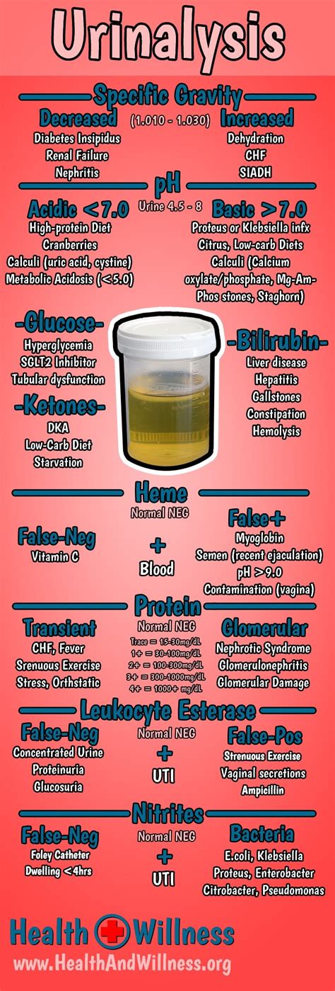 normal urine test results explained